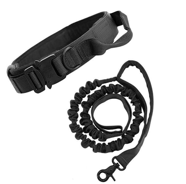 M Black Hands-Free Dog Leash with Adjustable Waist Belt