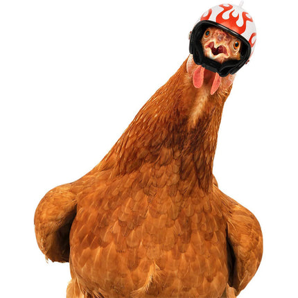 White Pet Chicken Helmet Set of 3 – Protective Headgear for Chicks, Hens, and Birds