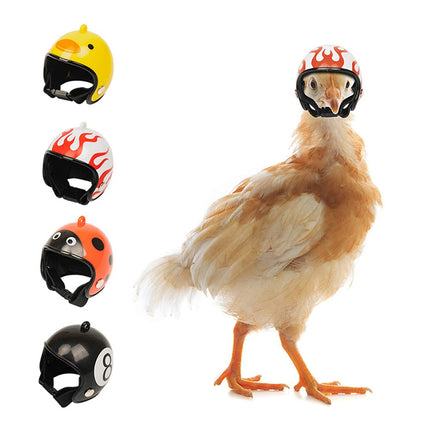 White Pet Chicken Helmet Set of 3 – Protective Headgear for Chicks, Hens, and Birds