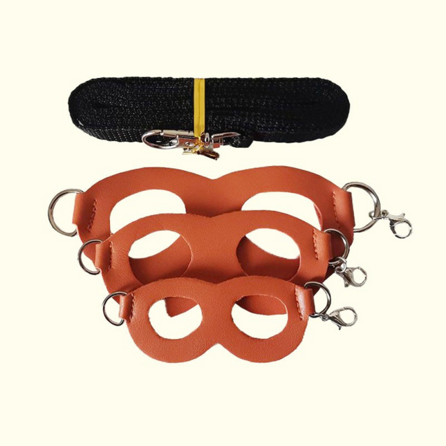 2-Pack Orange Small Mammal Harness Set 6 Pcs (S/M/L x 2) Plus 2 x 1.5m Leashes for Secure Outdoor Handling