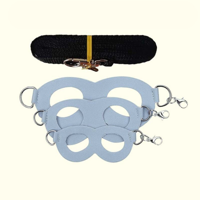 2-Pack Blue Small Mammal Harness Set 6 Pcs (S/M/L x 2) Plus 2 x 1.5m Leashes for Secure Outdoor Handling