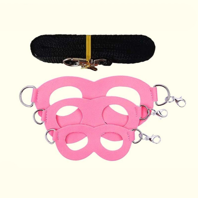 2-Pack Pink Small Mammal Harness Set 6 Pcs (S/M/L x 2) Plus 2 x 1.5m Leashes for Secure Outdoor Handling