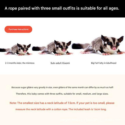 2-Pack Apple green Small Mammal Harness Set – 6 Pcs (S/M/L ×2) + 2×1.5m Leashes for Secure Outdoor Handling