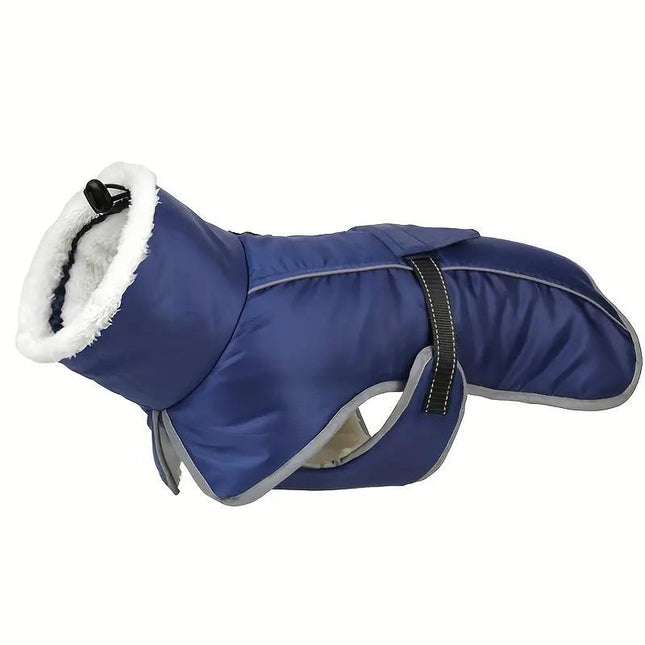 Blue Dog Winter Jacket