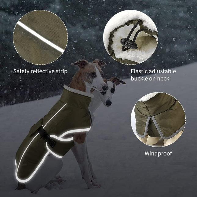 Green Dog Winter Jacket – product detail