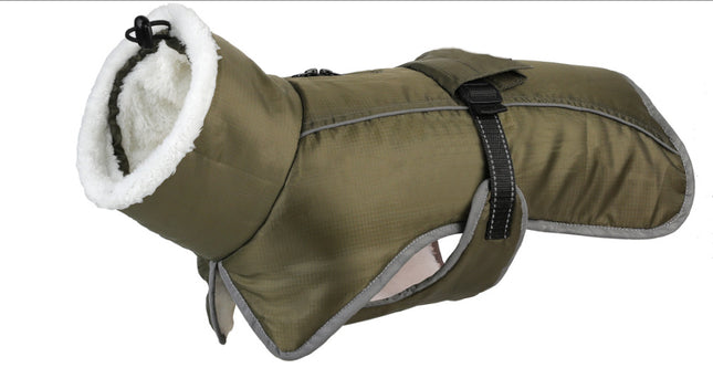 Green Dog Winter Jacket