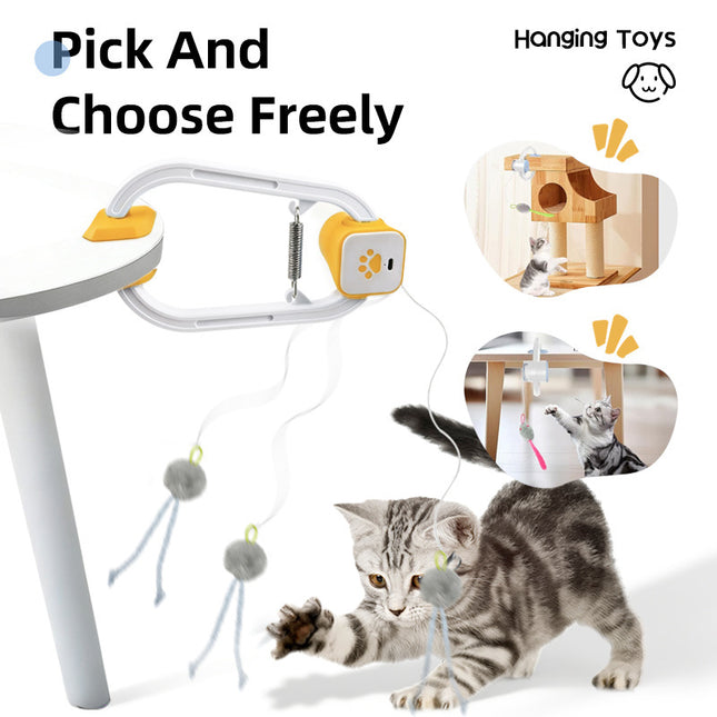 Electric Interactive Cat Teaser with Remote Control & Door – product detail