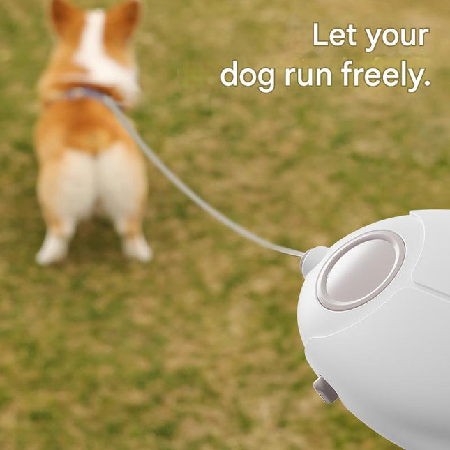 Pink Retractable Dog Leash with Luminous Rope 3M Anti-Tangle Automatic Extension Pet Walking Rope – product detail