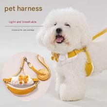 Green Lace Y-Shaped Pet Harness and Leash Set - Breathable Mesh Vest for Small to Medium Dogs and Cats - Comfortable Walking Gear with 150cm Leash(Size:S)