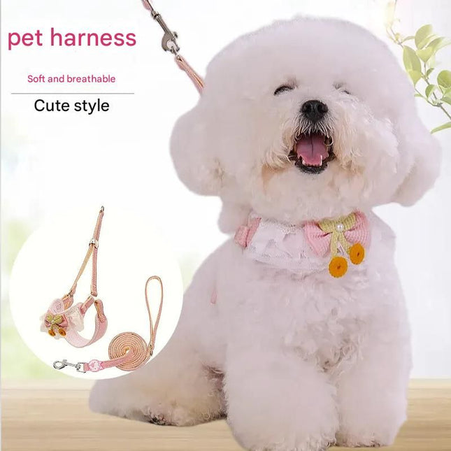 Orange-yellow Lace Y-Shaped Pet Harness and Leash Set (Size – product detail