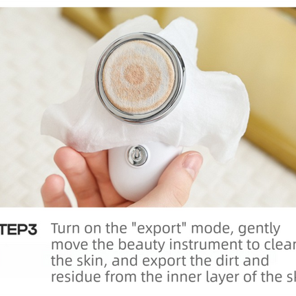 4-in-1 EMS Microcurrent & Constant Hot Compress Facial Toning Device (KL-3032) - Rechargeable Skin Lift & Rejuvenation Massager, Deep Cleaning & Nutrient Import