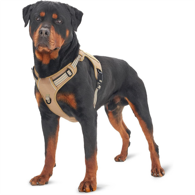 Purple Professional Adjustable Tactical Dog Mesh Harness – product detail