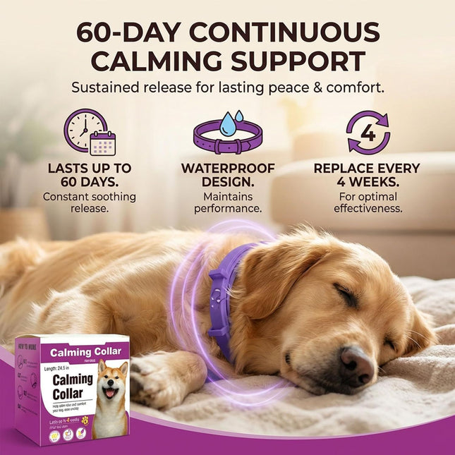 Colorful Pet Calming Collar 4 Pack (63cm) – product detail
