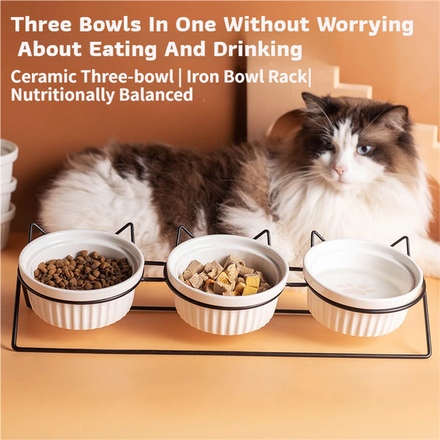 Triple Slanted Ceramic Pet Bowl Set with Elevated Iron Stand and Non Slip – product detail