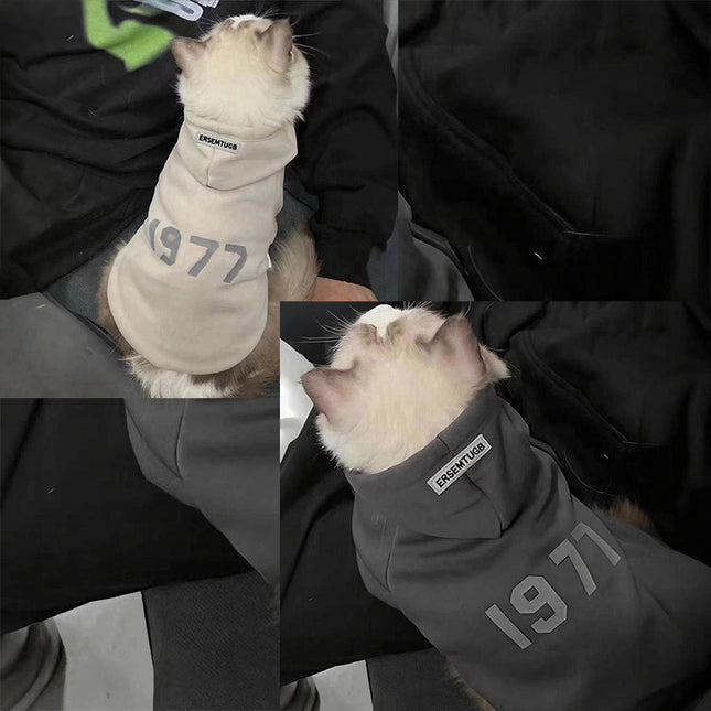 2-Pack M sizeTrendy Pet Hoodie with 1977 Print