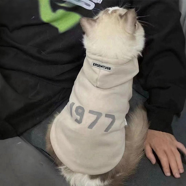 2-Pack L sizeTrendy Pet Hoodie with 1977 Print – product detail