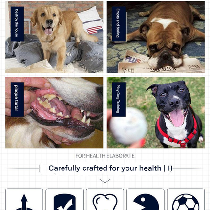 3-Piece Small Dog EVA Floating Dog Ring Toy Set – Interactive Tug-of-War Ring and Water Frisbee, durable chew and teething toy, suitable for training, teeth cleaning, and outdoor play, lightweight floating design