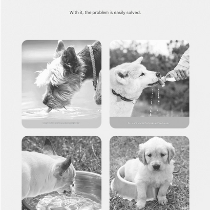 Purple Portable Dog Water Bottle with Food Container - 2-in-1 Leak-Proof Pet Travel Water Dispenser, Cloud-Shaped Drinking Bowl, Twist-to-Dispense Design, BPA-Free HIPS/PET Material for Walking Hiking Travel
