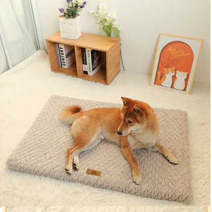 Grey M size Pet Dog Bed – surface and form