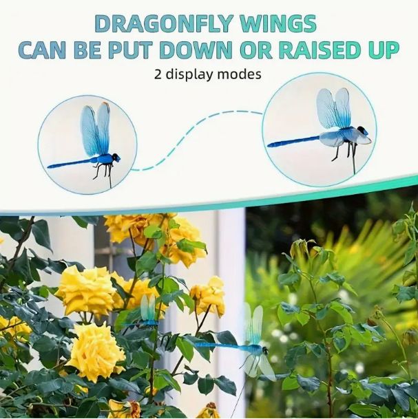 6-piece Blue and Red and Green 3D Dragonfly Clip – product detail