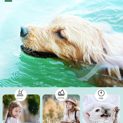 Grey 38cm Adjustable Flea and Tick Collar for Dogs and Cats - 8 Month Protection, Waterproof TPR Design with Safety Release - Repels Fleas, Ticks, and Mosquitoes for Small to Large Pets