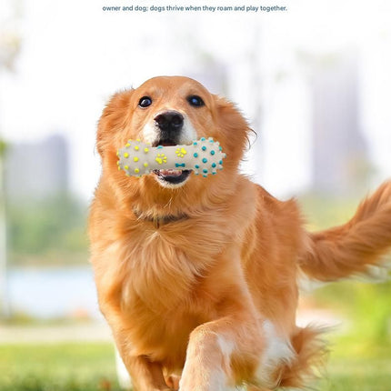 Yellow and Blue Spiked ring barbell Durable TPR Dog Chew Toys Set -  for Teeth Cleaning - Non-Toxic, Bite-Resistant, Easy Clean - Interactive Play for Medium to Large Dogs