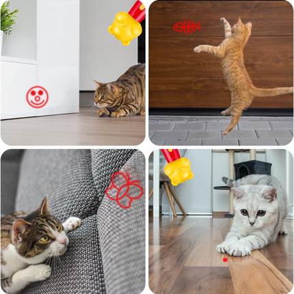Blue Bear Laser Cat Toy Set - 2 Piece USB Rechargeable Multi Pattern Laser Pointer with UV and White Light for Cats