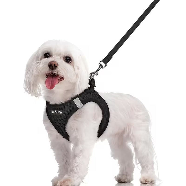 Black Breathable Dog Harness and Leash Set