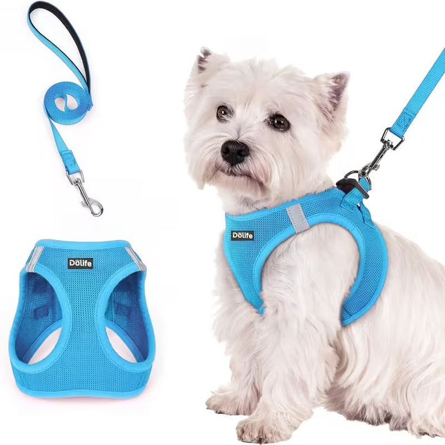 Blue Breathable Dog Harness and Leash Set