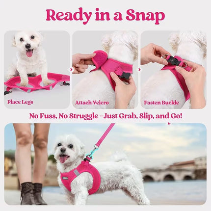 Blue Breathable Dog Harness and Leash Set - Adjustable Reflective Pet Vest with Swivel Clip(Size: L)
