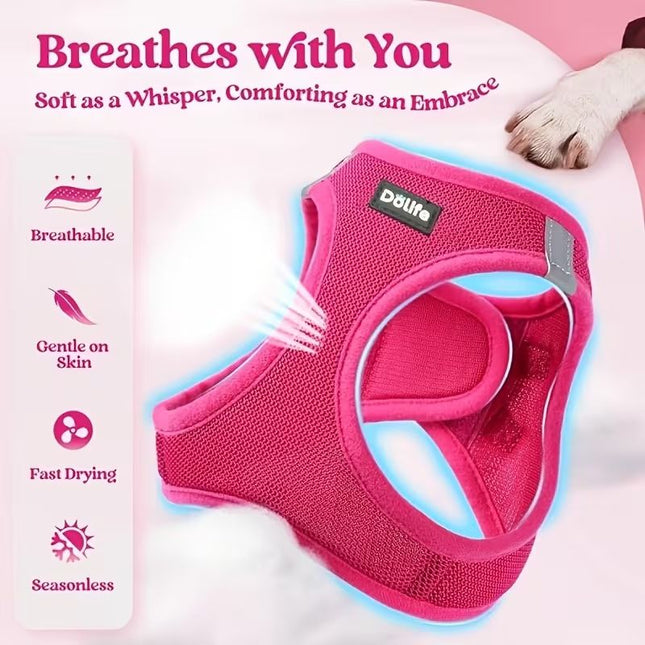 Orange Breathable Dog Harness and Leash Set – product detail