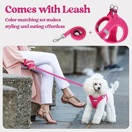 Orange Breathable Dog Harness and Leash Set - Adjustable Reflective Pet Vest with Swivel Clip(Size: L)
