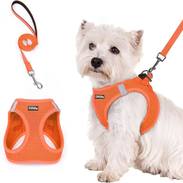 Orange Breathable Dog Harness and Leash Set