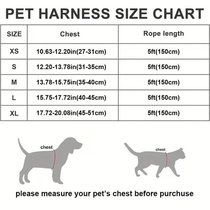 Orange Breathable Dog Harness and Leash Set - Adjustable Reflective Pet Vest with Swivel Clip(Size: XL)