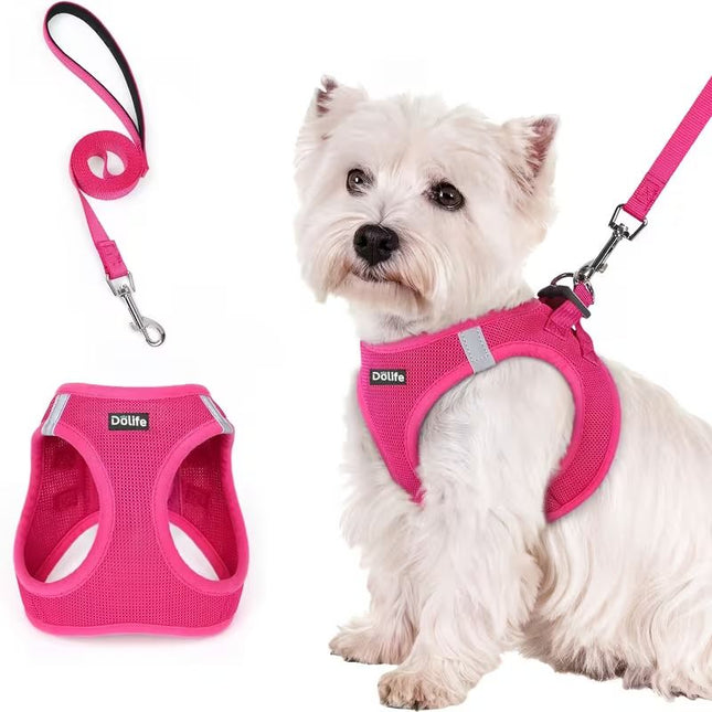 Rose red Breathable Dog Harness and Leash Set