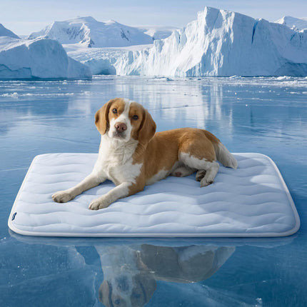 150 x 101 CM Blue Premium Wave Quiltied Pet Cooling Mat - Washable Self-Cooling Blanket with Anti-Stick Hair Surface & Non-Slip Base for Cats Dogs and Human Versatile Use
