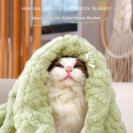2-piece L size Green Pet Winter Comfort Bundle – 70*55cm Plush Pet Blanket and 60*40cm Thickened Pet Sleeping Bed Set for Dogs and Cats, Double-Sided Warm Blanket with Soft Plush Bed Cushion