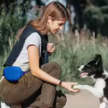 Pink Silicone Dog Training Treat Pouch with Adjustable Waist Belt Hands-Free Pet Reward Bag for Outdoor Walks