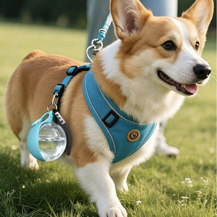 Blue Portable Pet Water Bottle with Foldable Drinking Bowl, 285ml Travel Dog Water Dispenser for Walking Hiking and Outdoor Adventures