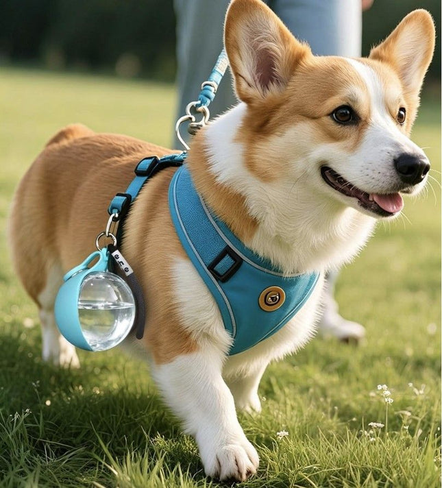 Blue Portable Pet Water Bottle with Foldable Drinking Bowl 285ml Travel Dog Water Dispenser for Walking – product detail