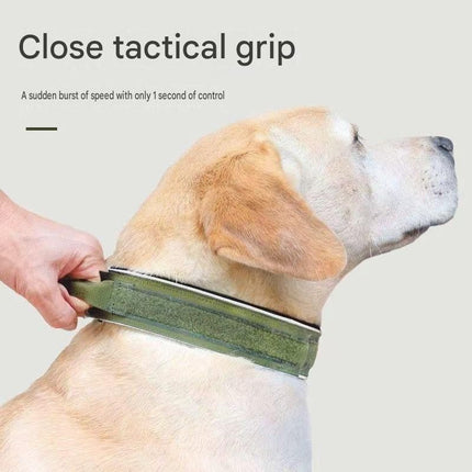 Blue Tactical Dog Collar for Large Dogs (M size)- Wide Padded Nylon Collar with Quick – hardware detail