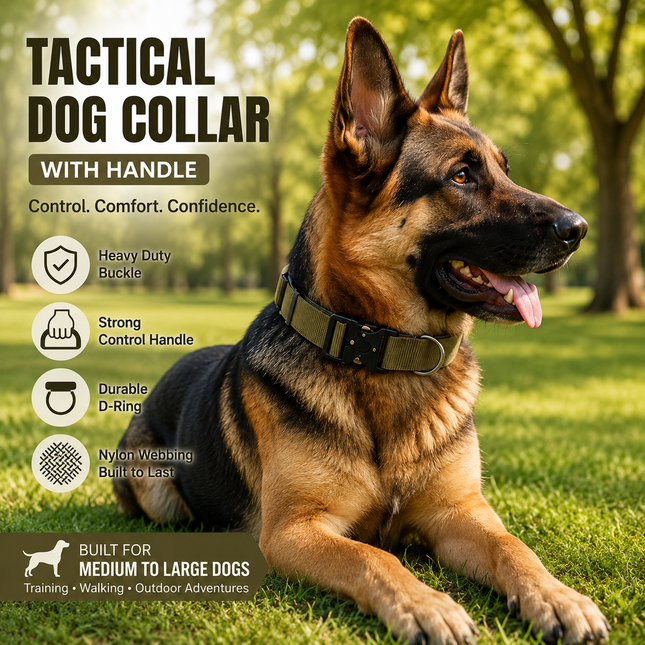 Khaki Tactical Dog Collar for Large Dogs (M size)- Wide Padded Nylon Collar with Quick V888-ELOSUNG54712