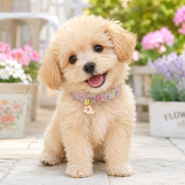 Floral Lace Pet Collar with Bell and Charm (Cherry blossom design)- Adjustable Polyester Cat Collar – product detail
