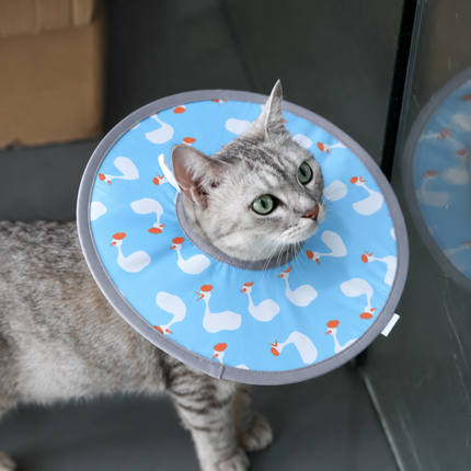 Blue Duck Soft Waterproof Elizabethan Collar for Cats & Dogs S Size - Adjustable Anti-Licking Recovery Cone After Surgery