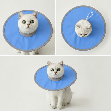Pure Blue Soft Waterproof Elizabethan Collar for Cats & Dogs M Size - Adjustable Anti-Licking Recovery Cone After Surgery Soft Waterproof Elizabethan Collar for Cats & Dogs M Size - Adjustable Anti-Licking Recovery Cone After Surgery
