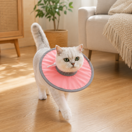 Pure Pink Soft Waterproof Elizabethan Collar for Cats & Dogs M Size - Adjustable Anti-Licking Recovery Cone After Surgery Soft Waterproof Elizabethan Collar for Cats & Dogs M Size - Adjustable Anti-Licking Recovery Cone After Surgery