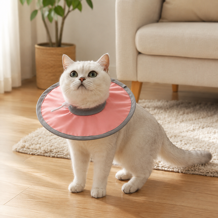 Pure Pink Soft Waterproof Elizabethan Collar for Cats & Dogs M Size - Adjustable Anti-Licking Recovery Cone After Surgery Soft Waterproof Elizabethan Collar for Cats & Dogs M Size - Adjustable Anti-Licking Recovery Cone After Surgery