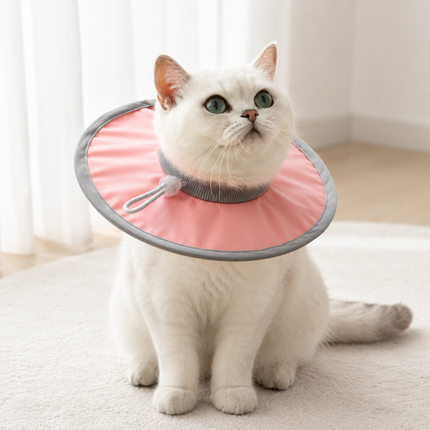 Pure Pink Soft Waterproof Elizabethan Collar for Cats & Dogs L Size - Adjustable Anti-Licking Recovery Cone After Surgery Soft Waterproof Elizabethan Collar for Cats & Dogs L Size - Adjustable Anti-Licking Recovery Cone After Surgery