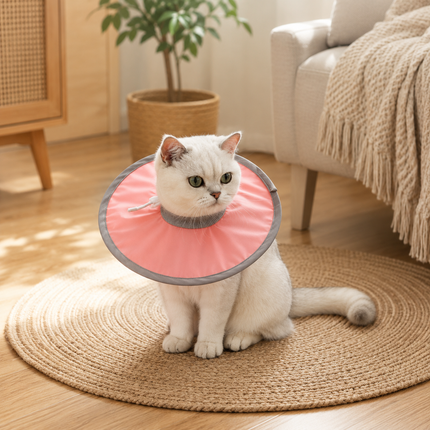 Pure Pink Soft Waterproof Elizabethan Collar for Cats & Dogs L Size - Adjustable Anti-Licking Recovery Cone After Surgery Soft Waterproof Elizabethan Collar for Cats & Dogs L Size - Adjustable Anti-Licking Recovery Cone After Surgery