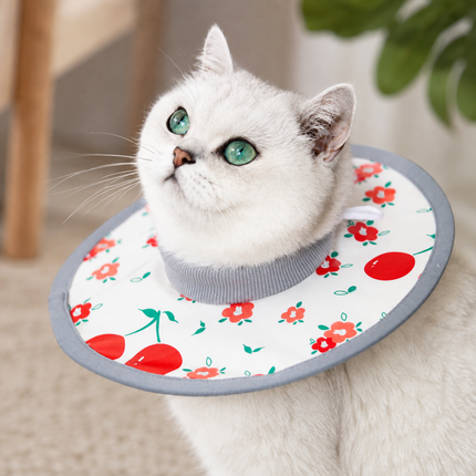 Red Cherry Soft Waterproof Elizabethan Collar for Cats & Dogs L Size - Adjustable Anti-Licking Recovery Cone After Surgery Soft Waterproof Elizabethan Collar for Cats & Dogs L Size - Adjustable Anti-Licking Recovery Cone After Surgery